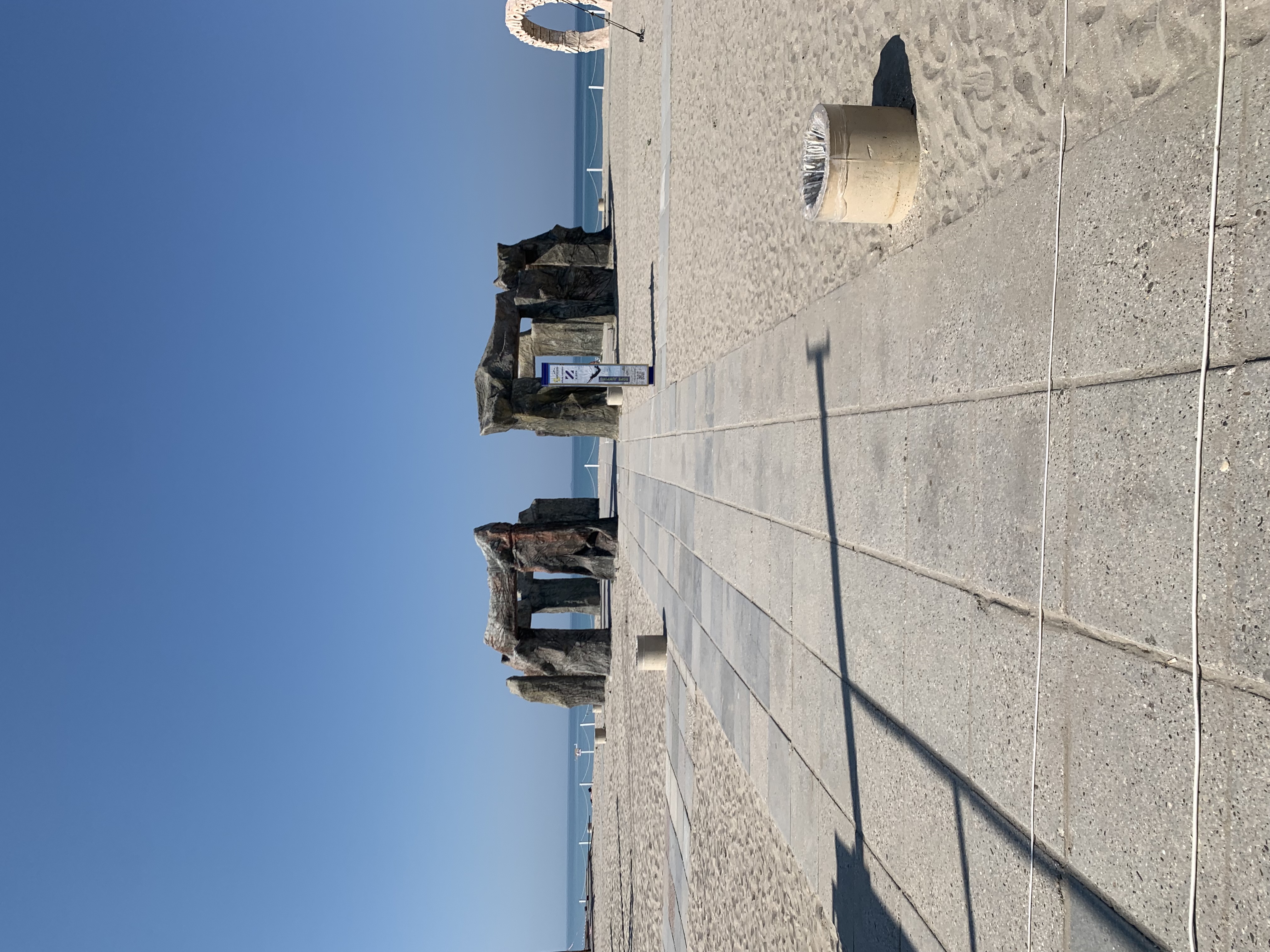 Фото Моркофка