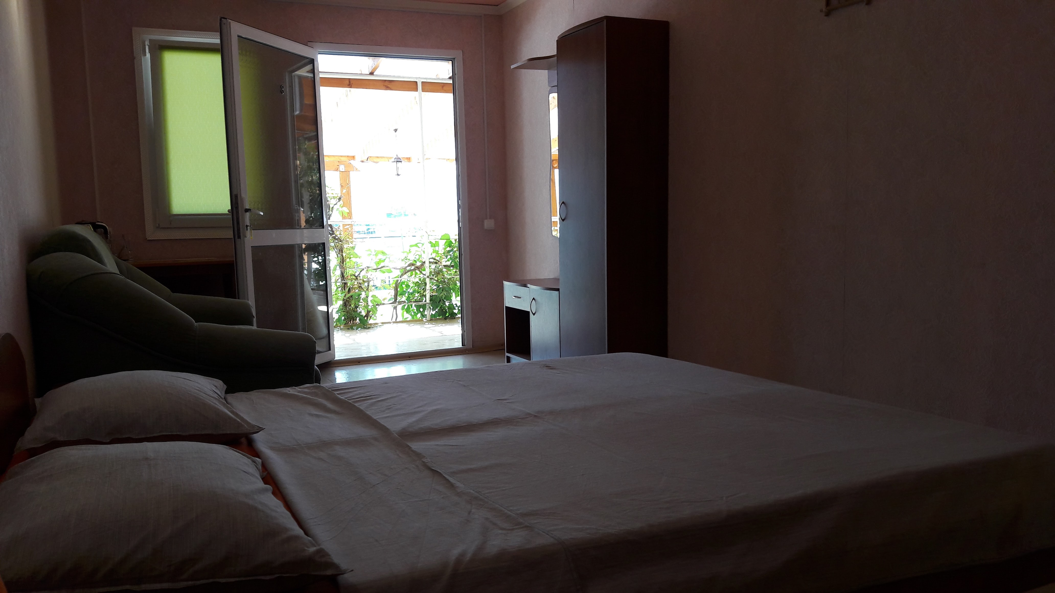 Фото Кактус