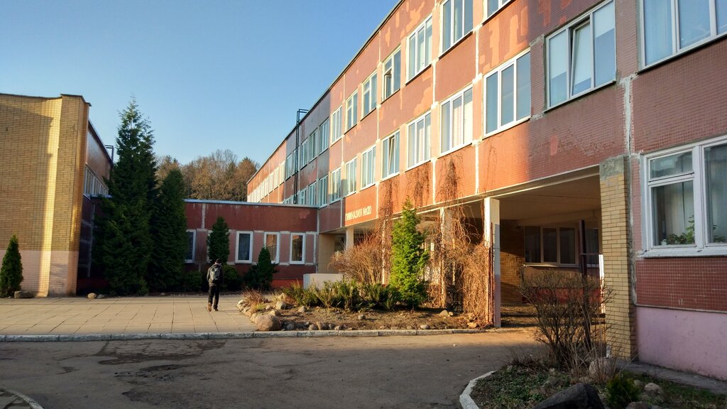 Гимназия no 20 ул рубина 27 фото