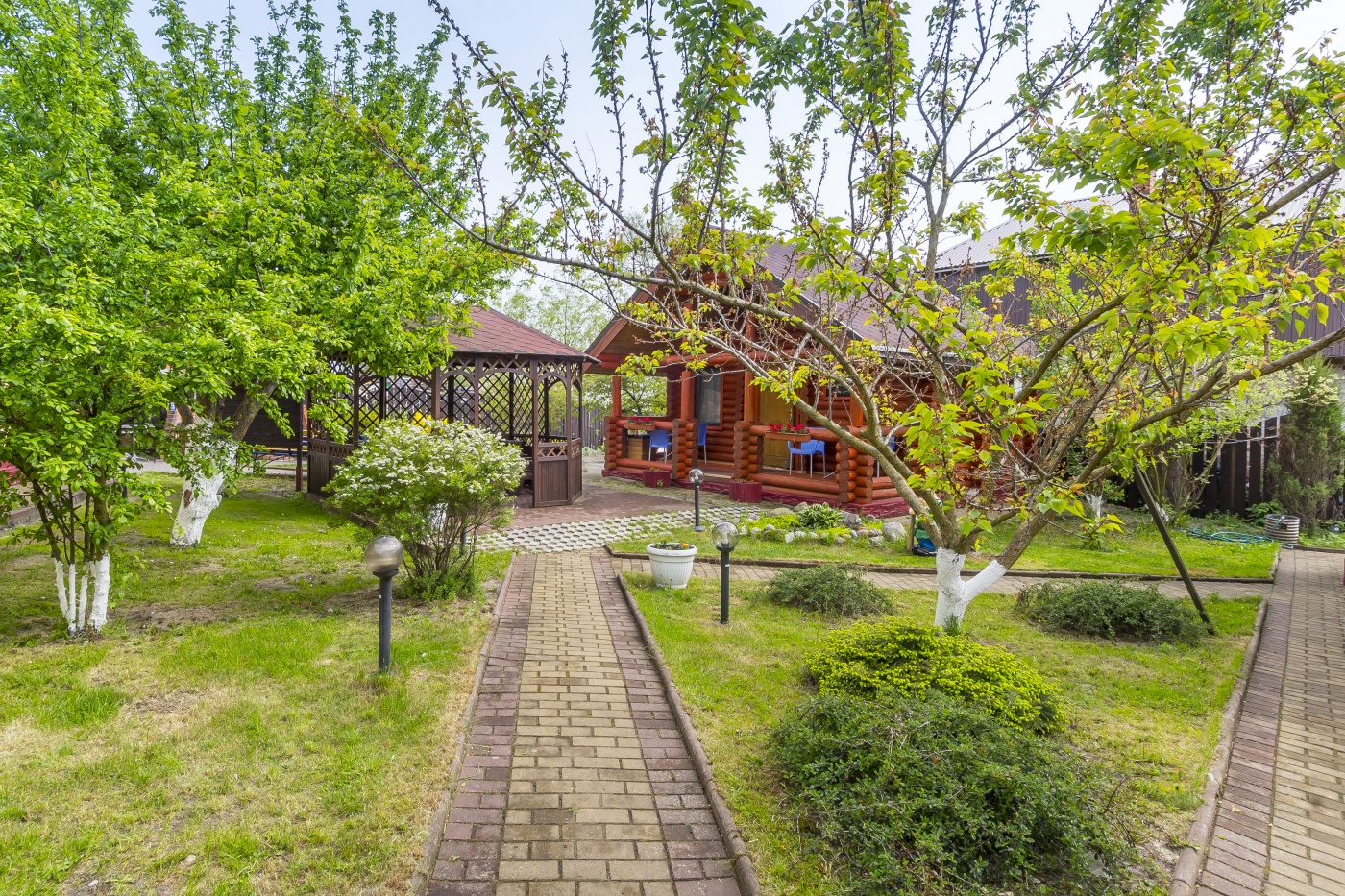 Фото Элиза Заркау