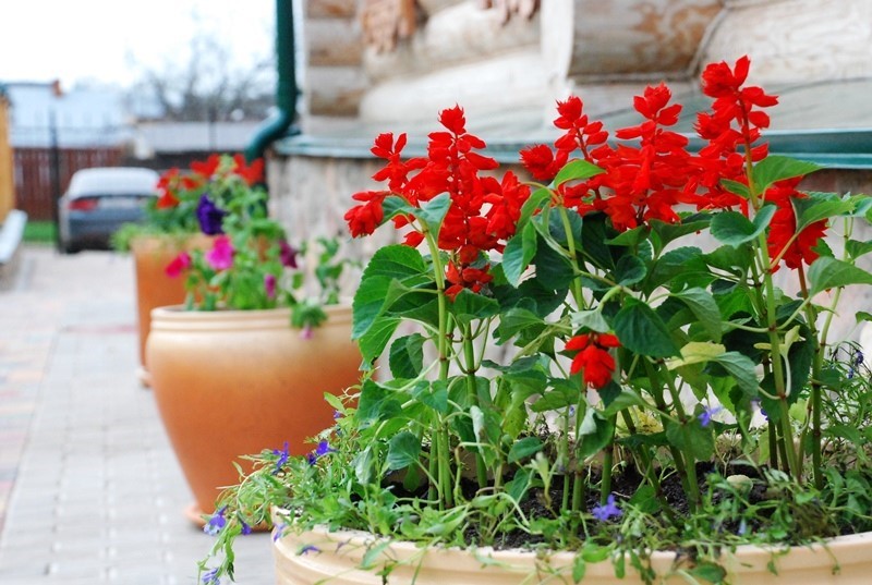 Фото Светлый терем