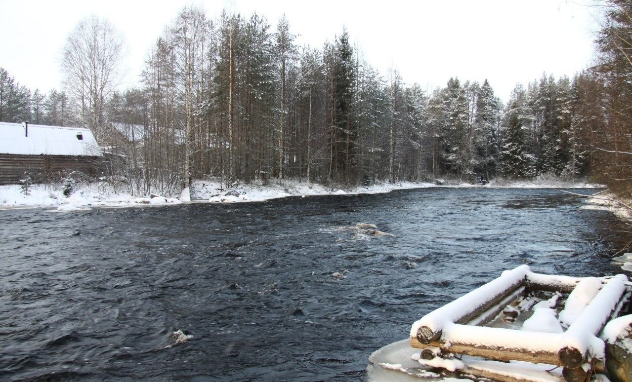 Фото Вегарус