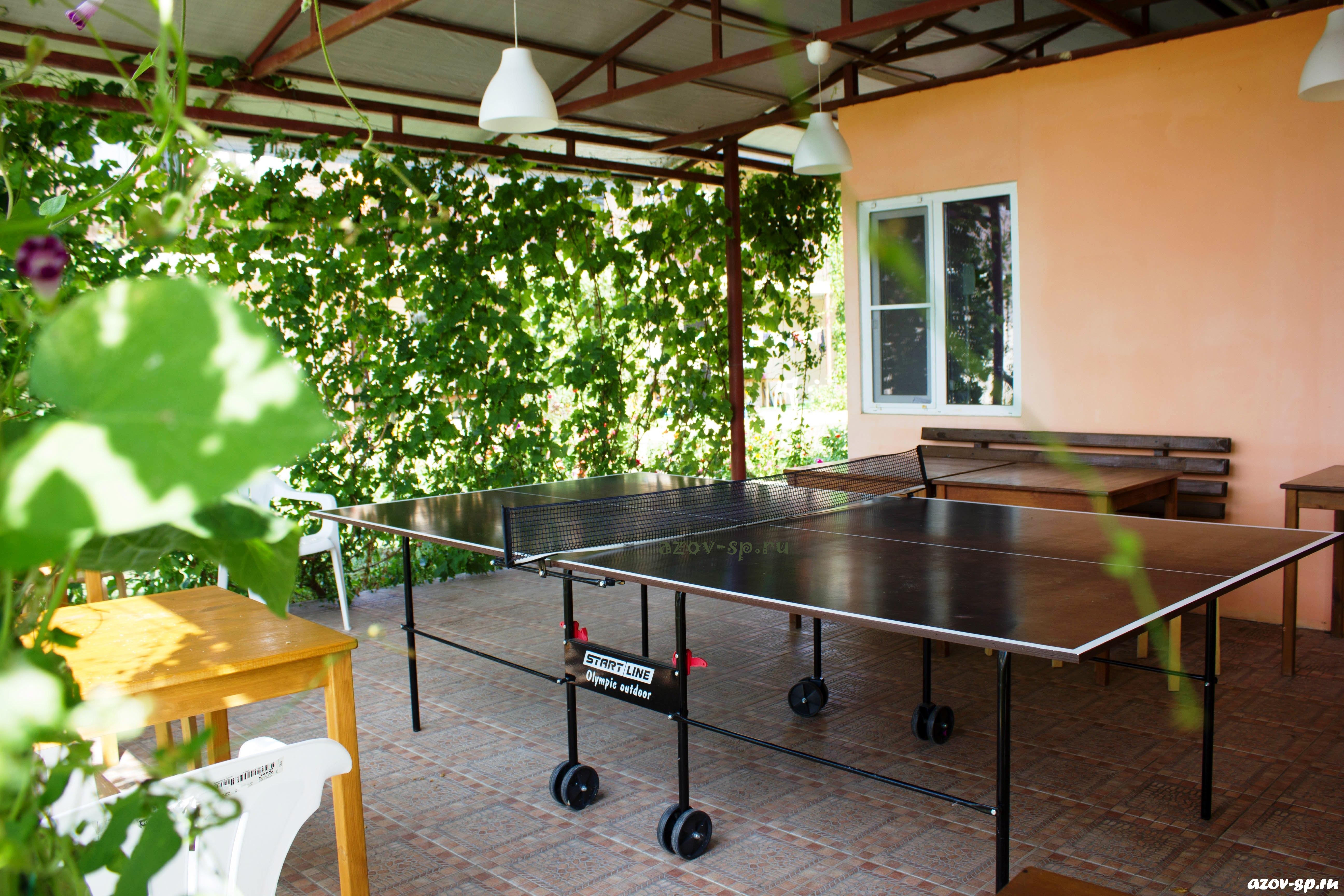 Фото Солнечная поляна