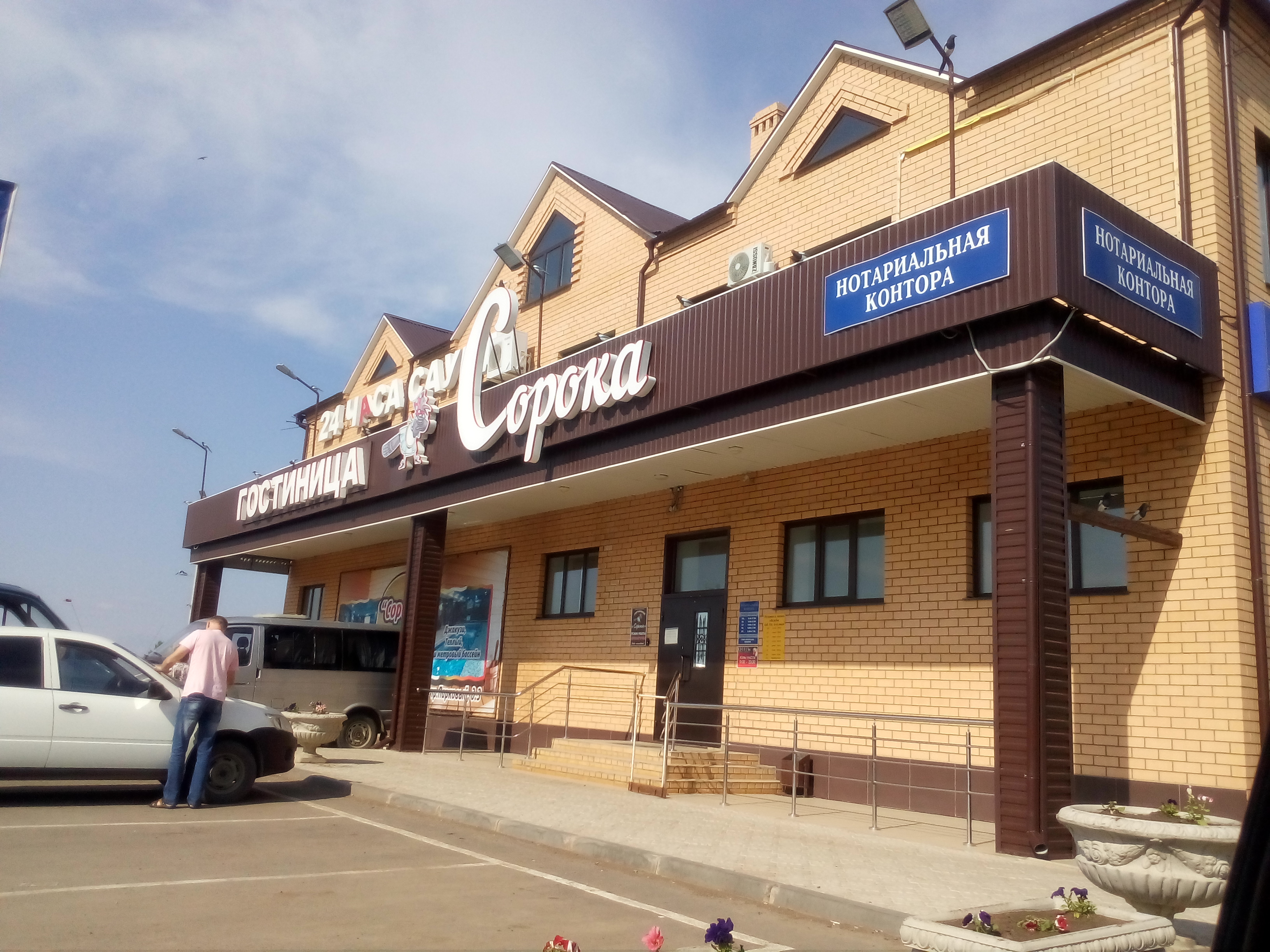 Фото Сорока