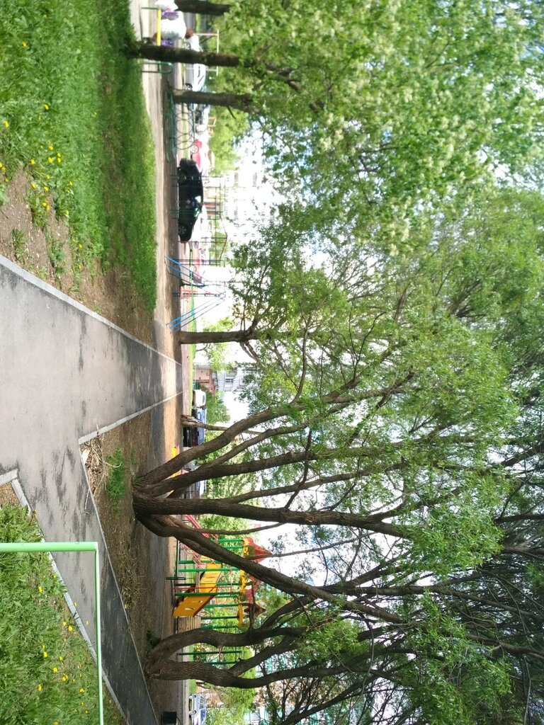 Playground Playground, Perm, photo