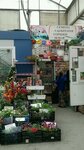 Magazin semyan (Kurganskaya ulitsa, 38к1), seed shop