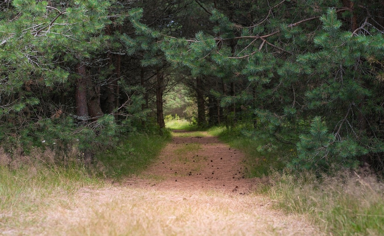 Фото Тихая гавань