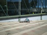 Bicycle parking (Saint Petersburg, Zanevskiy Avenue, 73) ، حاملة الدراجات