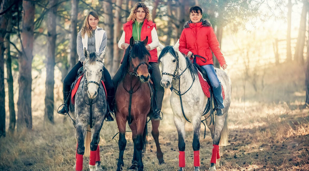 ركوب الخيل Horseback riding and horseback riding ، سان بطرسبرغ، صورة