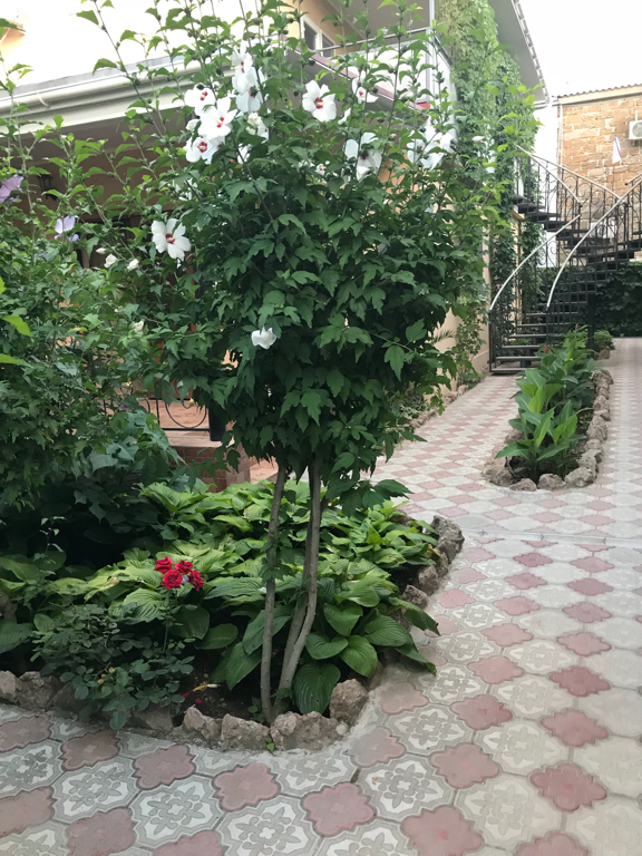 Фото Черноморский Дворик