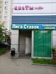 Цветы (Aviakonstruktora Milya Street, 4А), flower shop