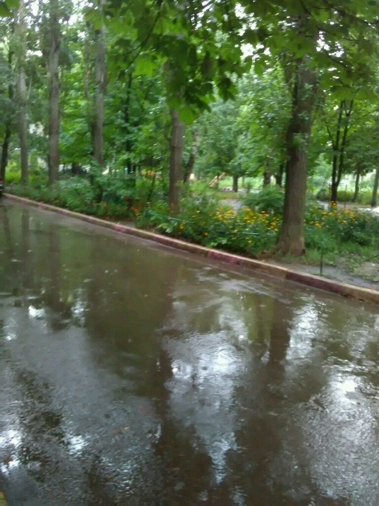 Playground Playground, Voronezh, photo