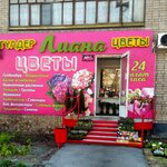 Liana (Nursultan Nazarbaev kóshesi, 179), flower shop