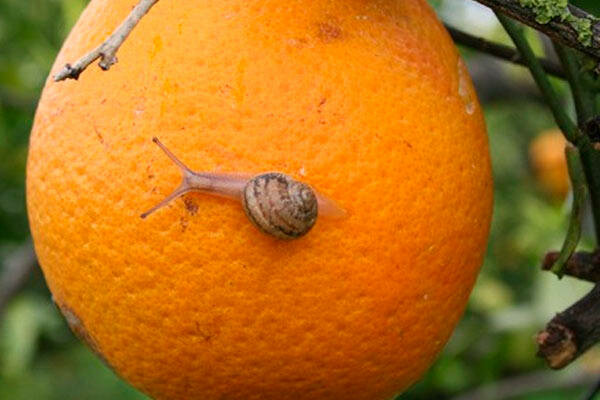 Grocery Hacienda del Cura, Andalusia, photo