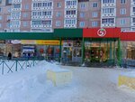 Seed Store (Sovetskaya Street, 15), seed shop