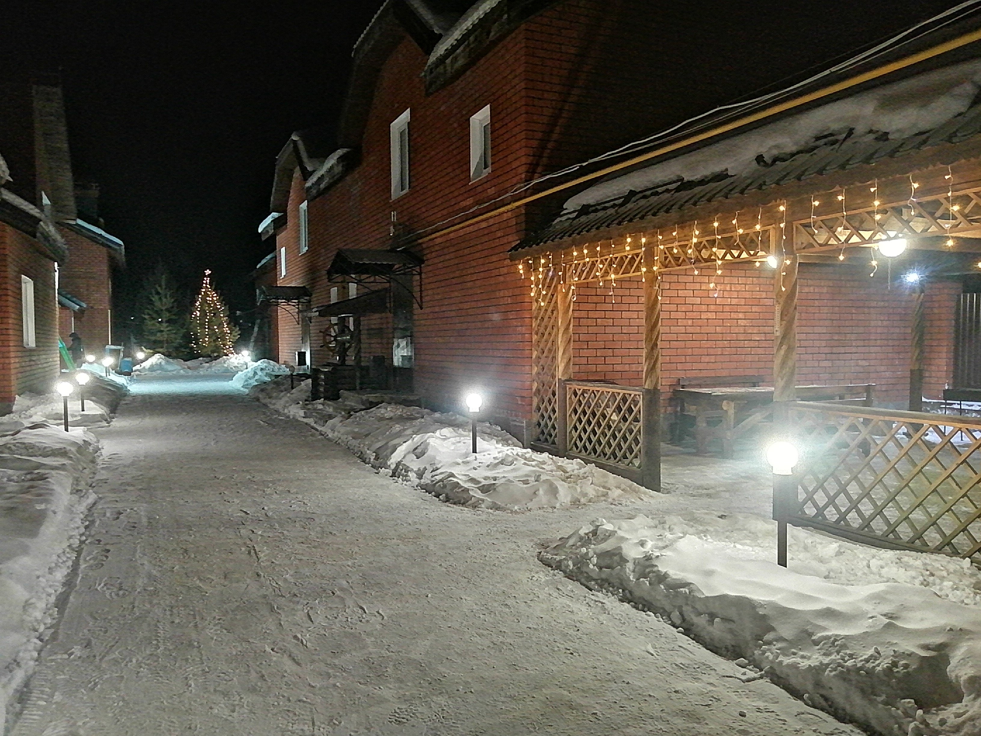 Фото Дарина