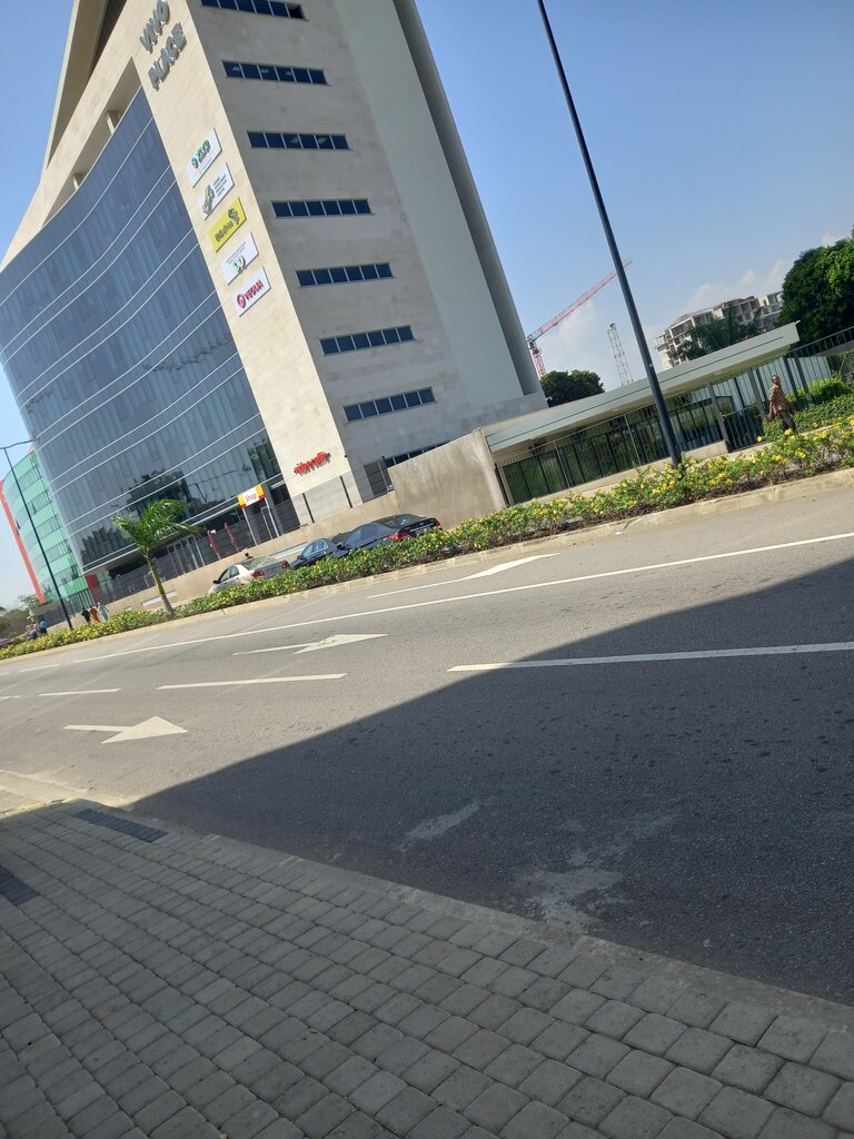 Cafe Vida, Earth, photo