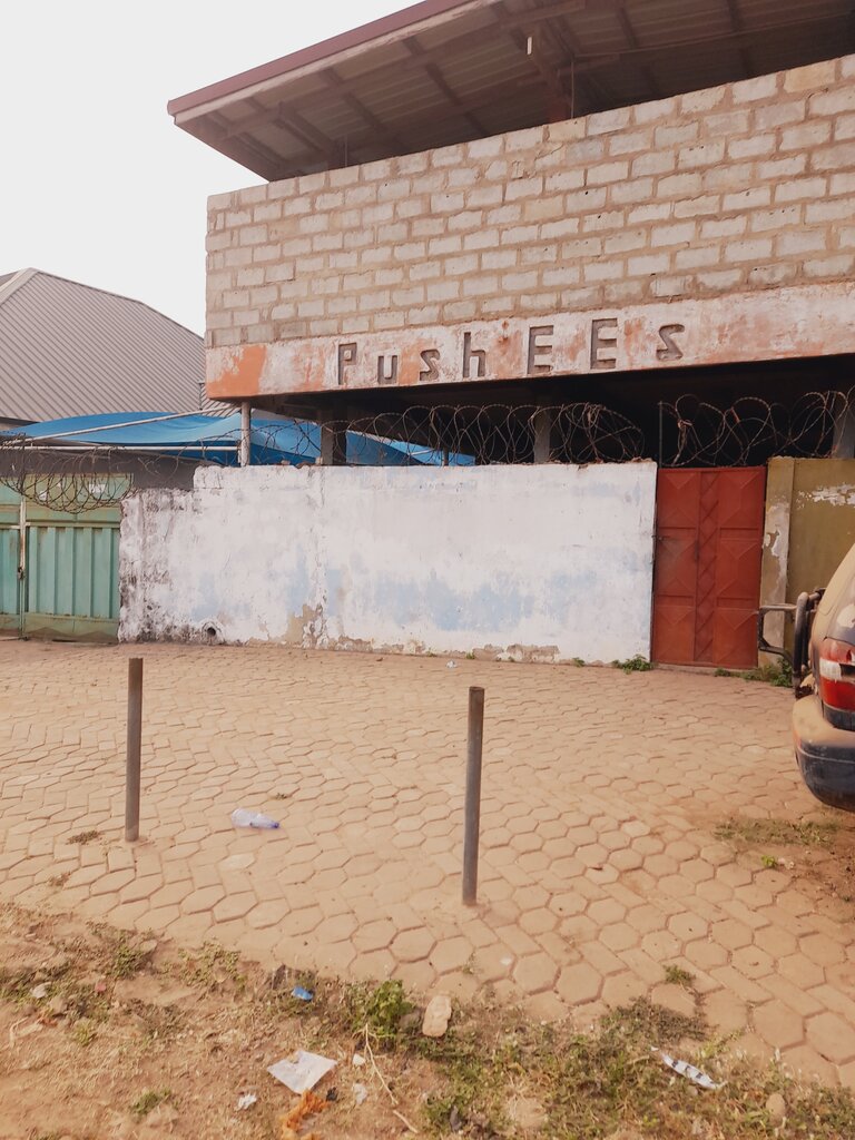 Restaurant Pushees Restaurant-Bar And Guest House, Earth, photo