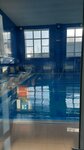 Бассейн (rabochiy posyolok Davydovka, ulitsa Lenina, 32В), piscina
