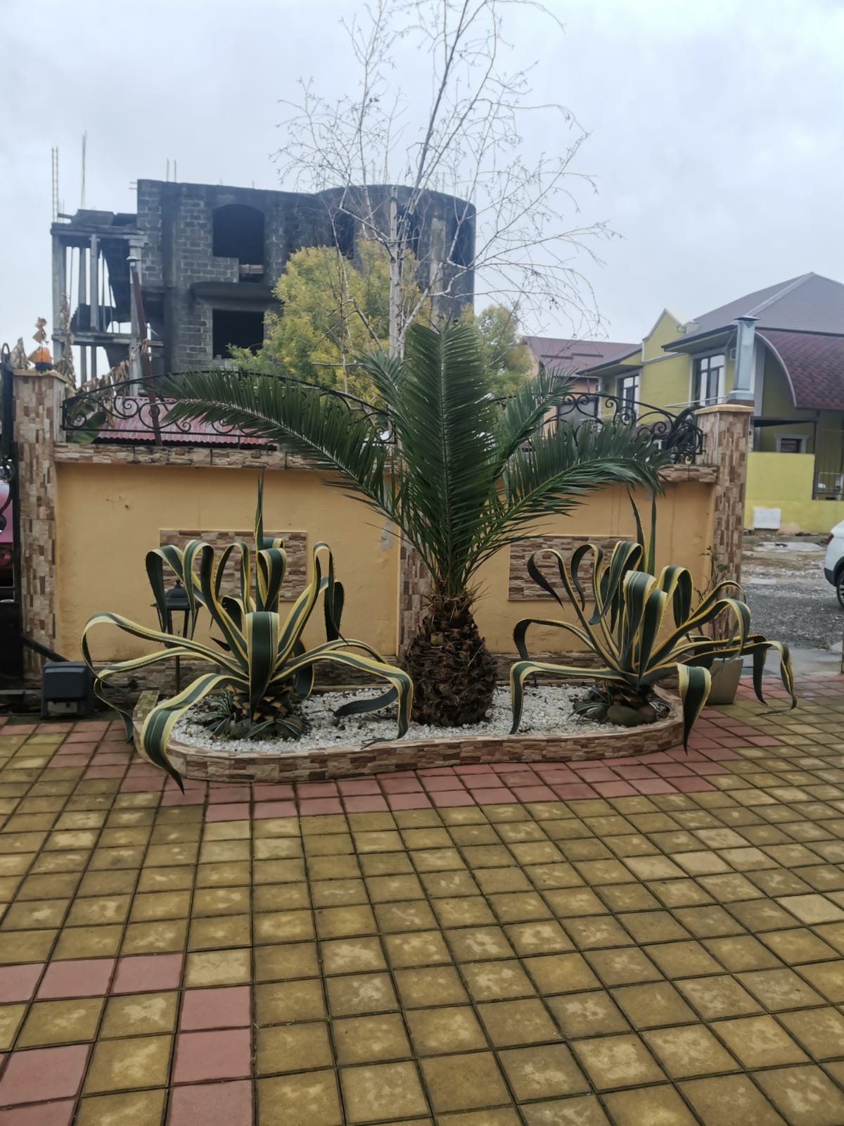 Фото Ариетта