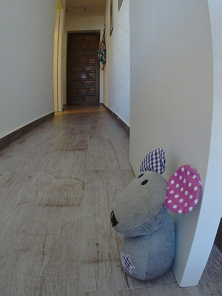 Фото Apartamento Vistas La Mata