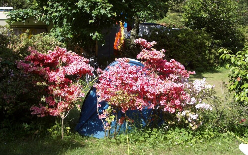 Фото Camping Valle Romantica