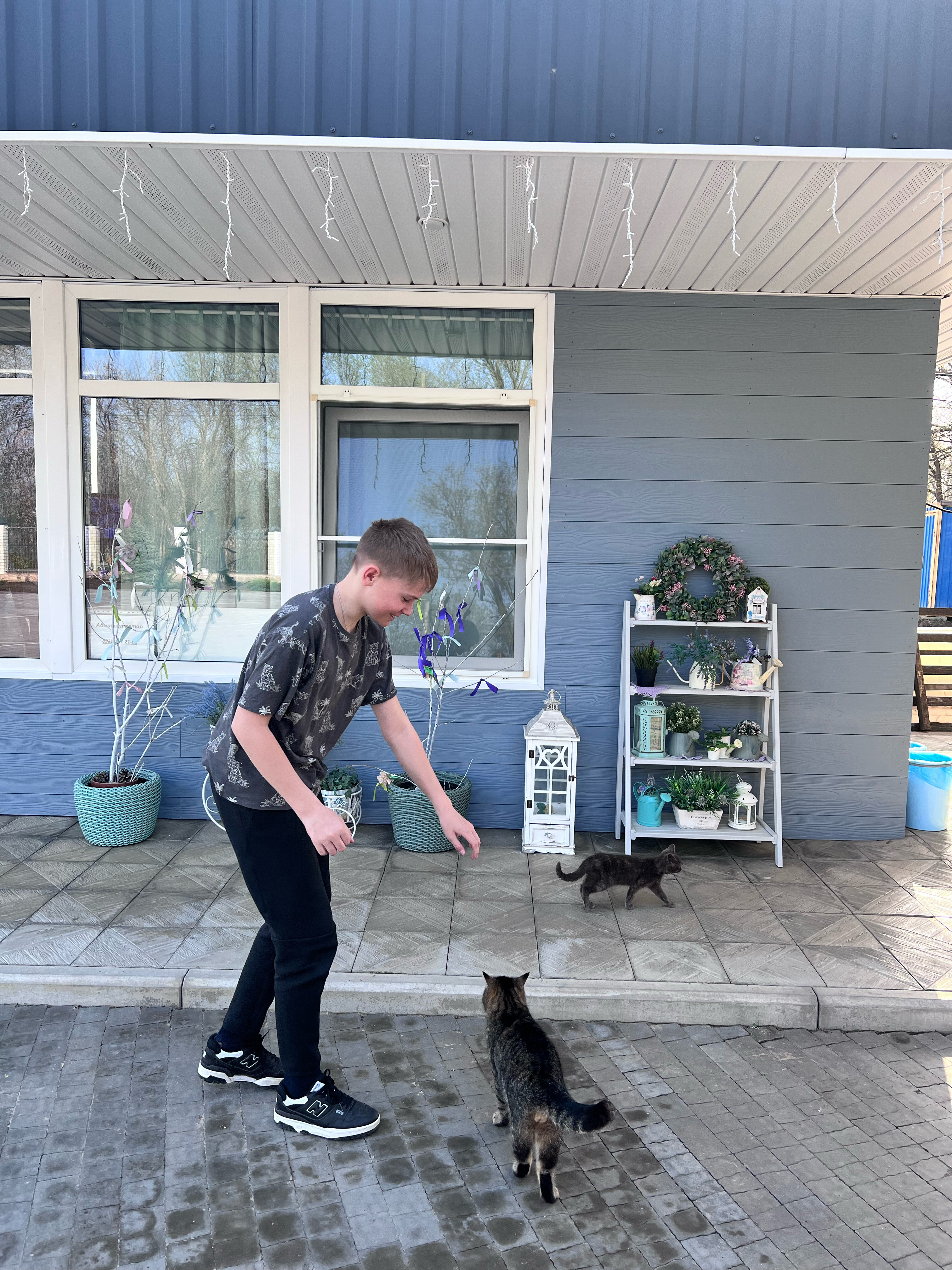 Фото Тихий дворик