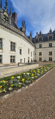 Landmark, attraction Château d'Amboise, Amboise, photo