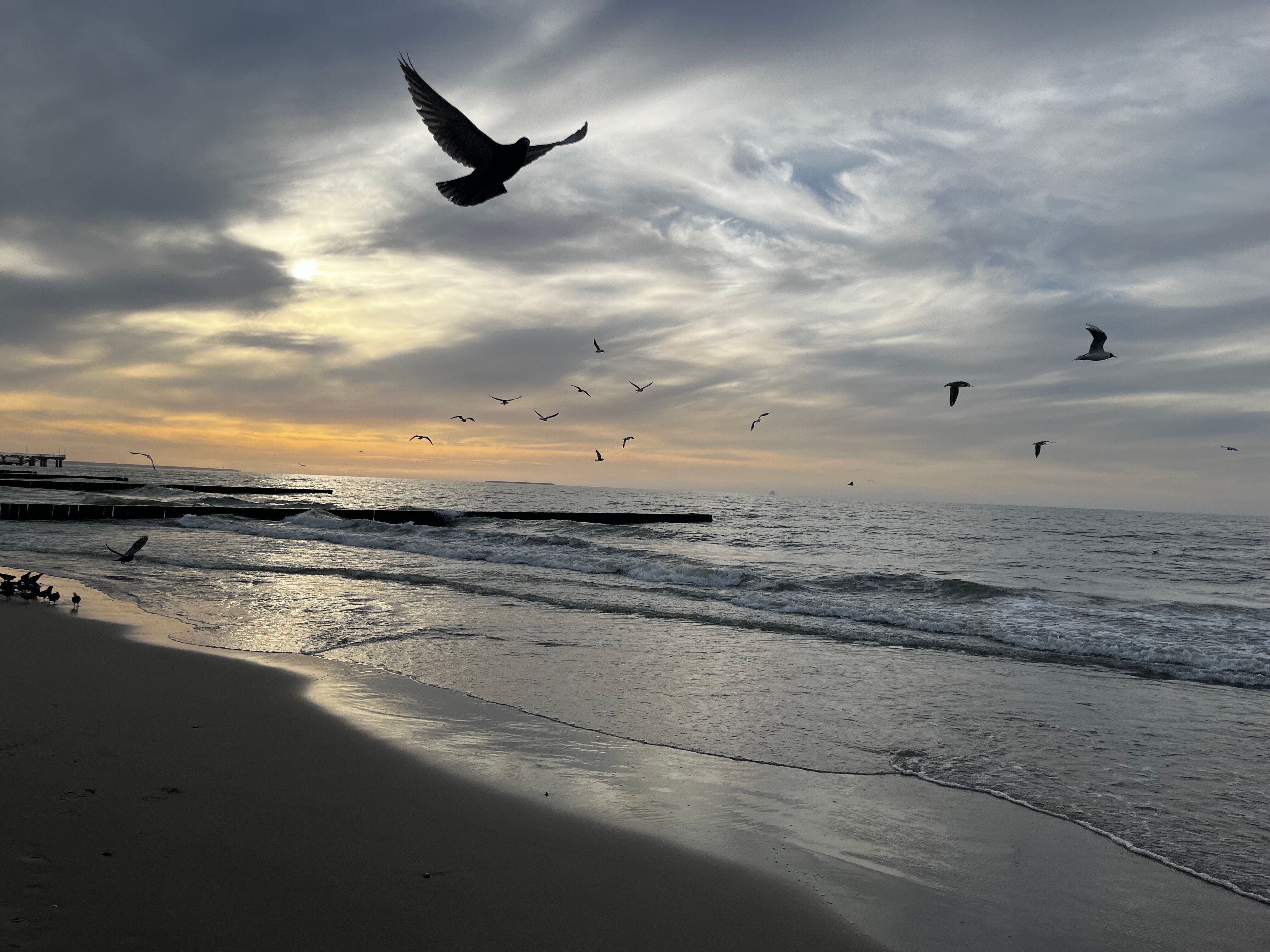 Фото Балтийская корона