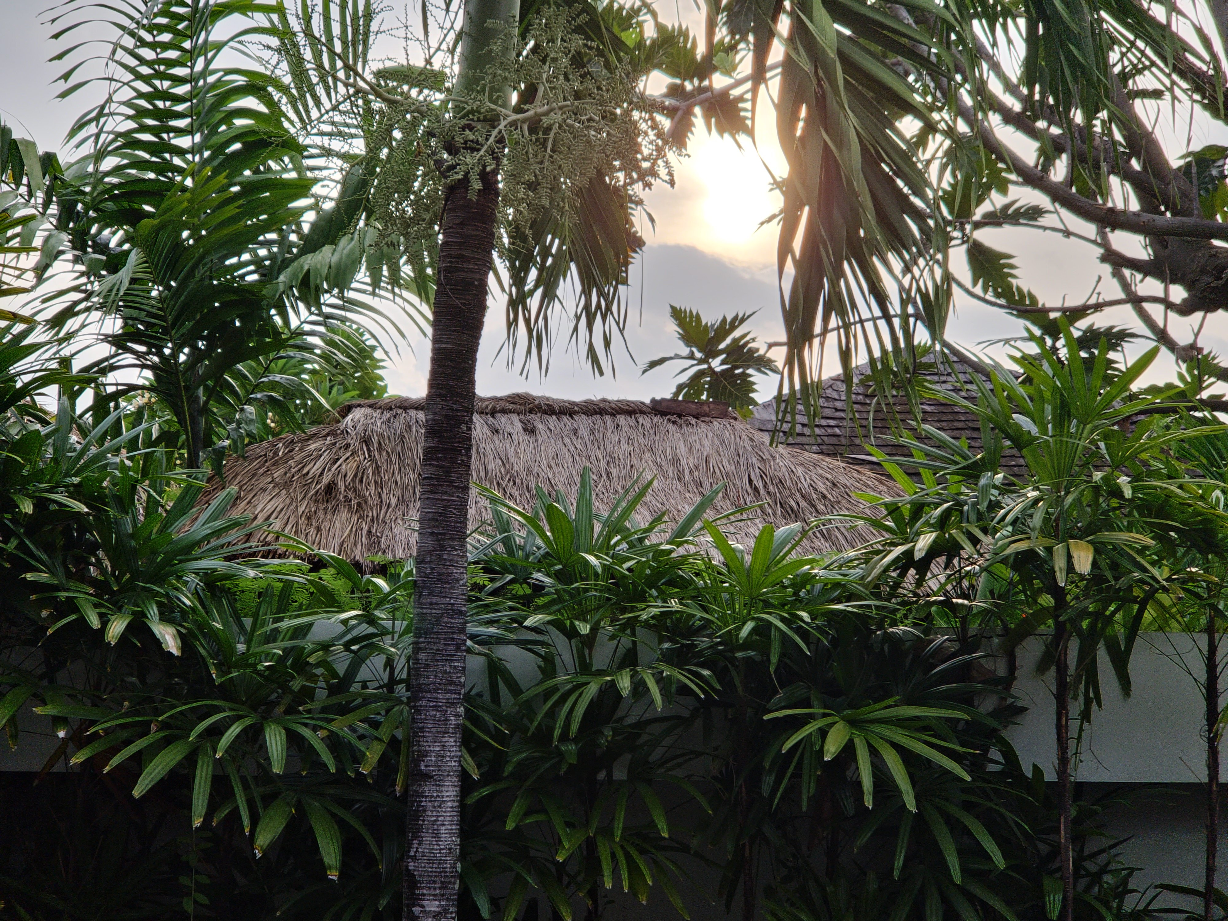 Фото Ellora Villas