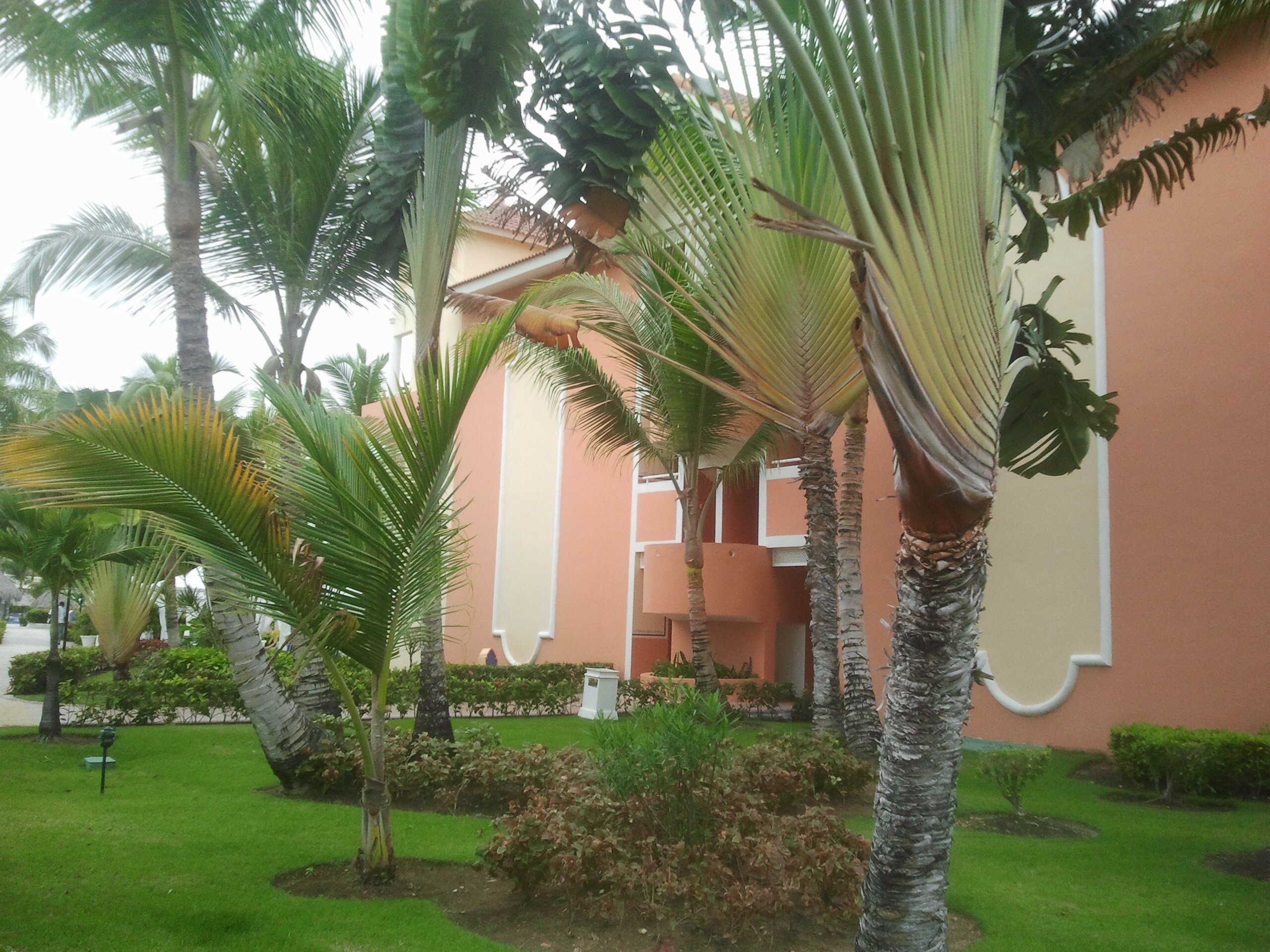 Фото Punta Cana Princess Adults Only - All Inclusive