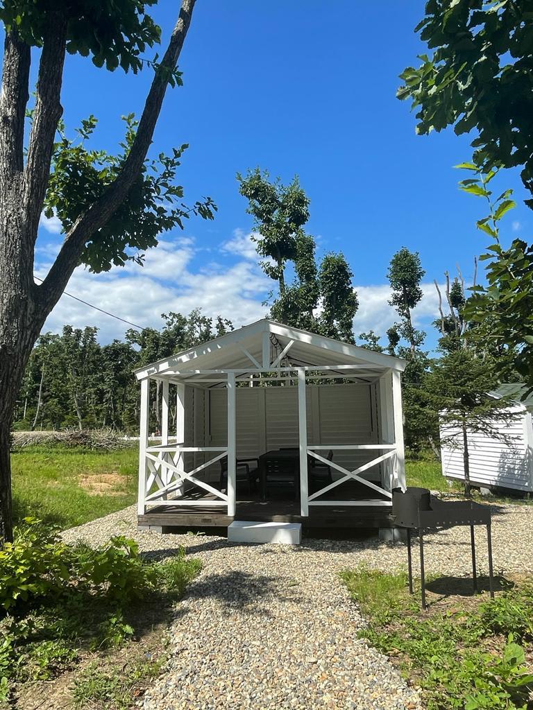 Фото Pine Family