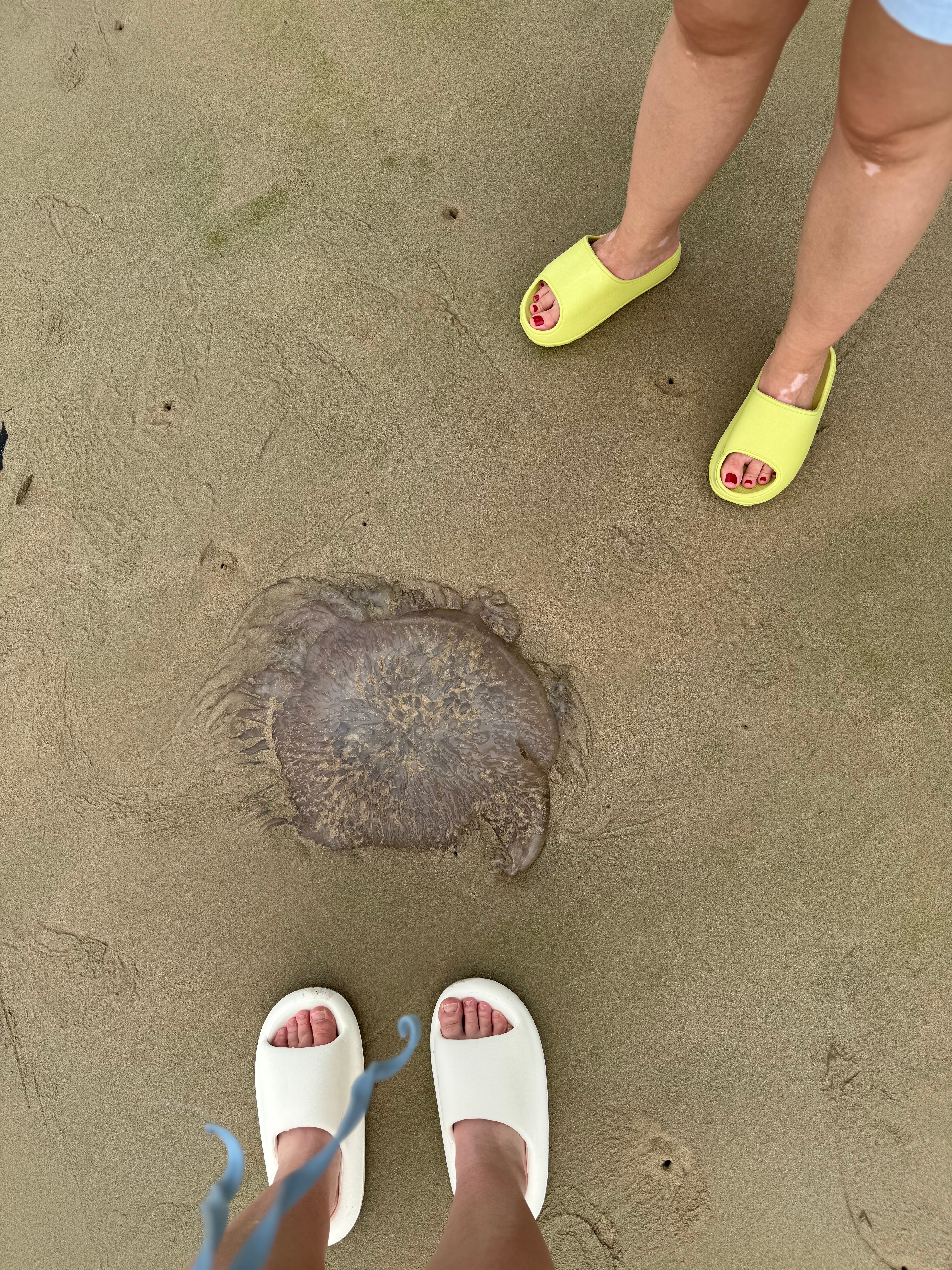 Фото Chivatara Resort & SPA Bang Tao Beach Phuket