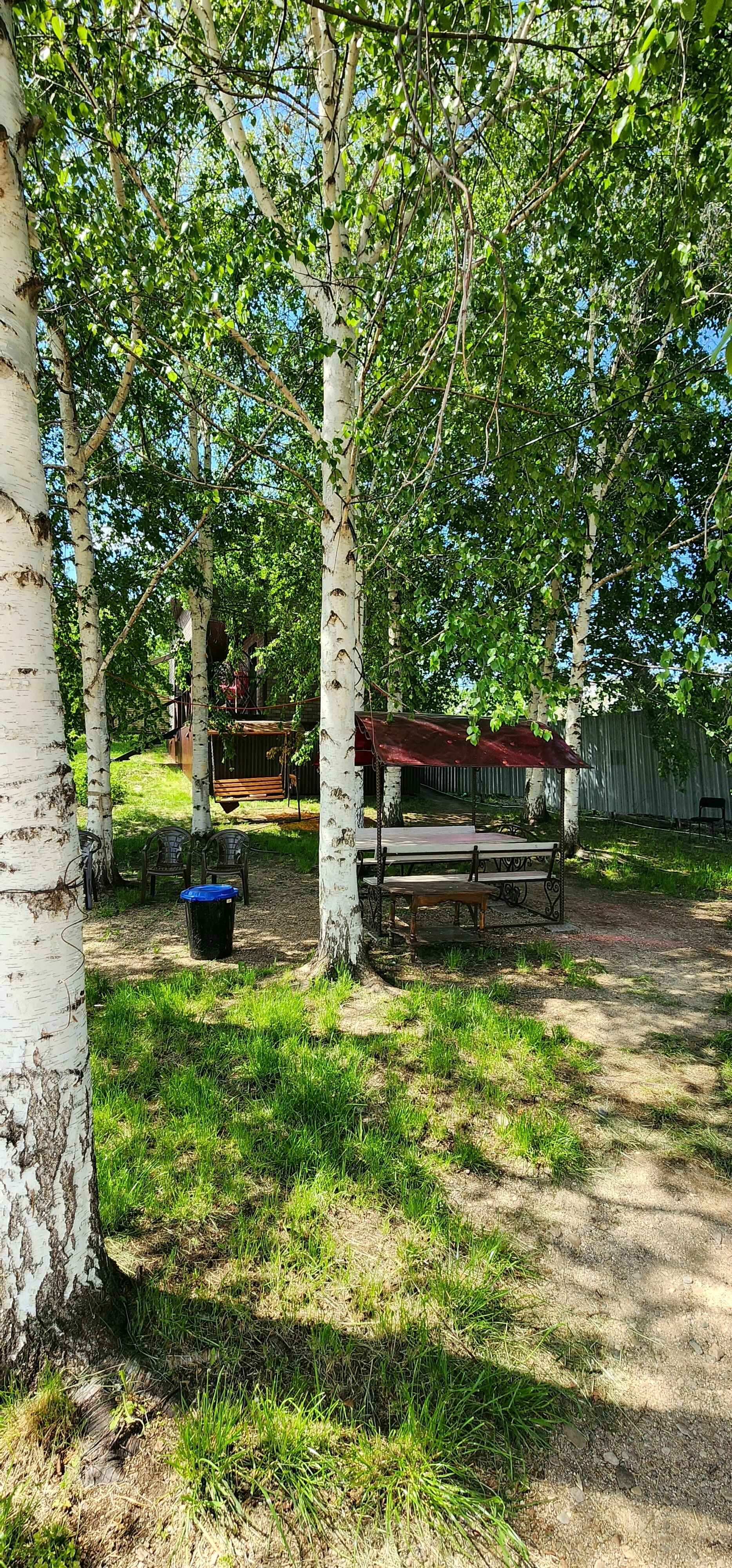 Фото Берёзка Кандрыкуль