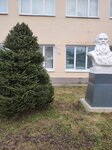 Tula Regional Clinical Hospital № 2 named after L. N. Tolstoy (derevnya Yasnaya Polyana, Bolnichnaya ulitsa, 15/1), polyclinic for adults