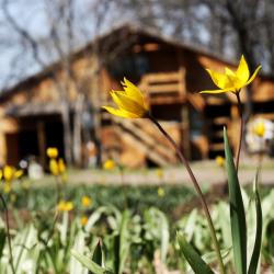 Фото Дубровский