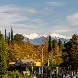 Фото Green Park Apartments