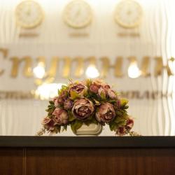 Фото Спутник