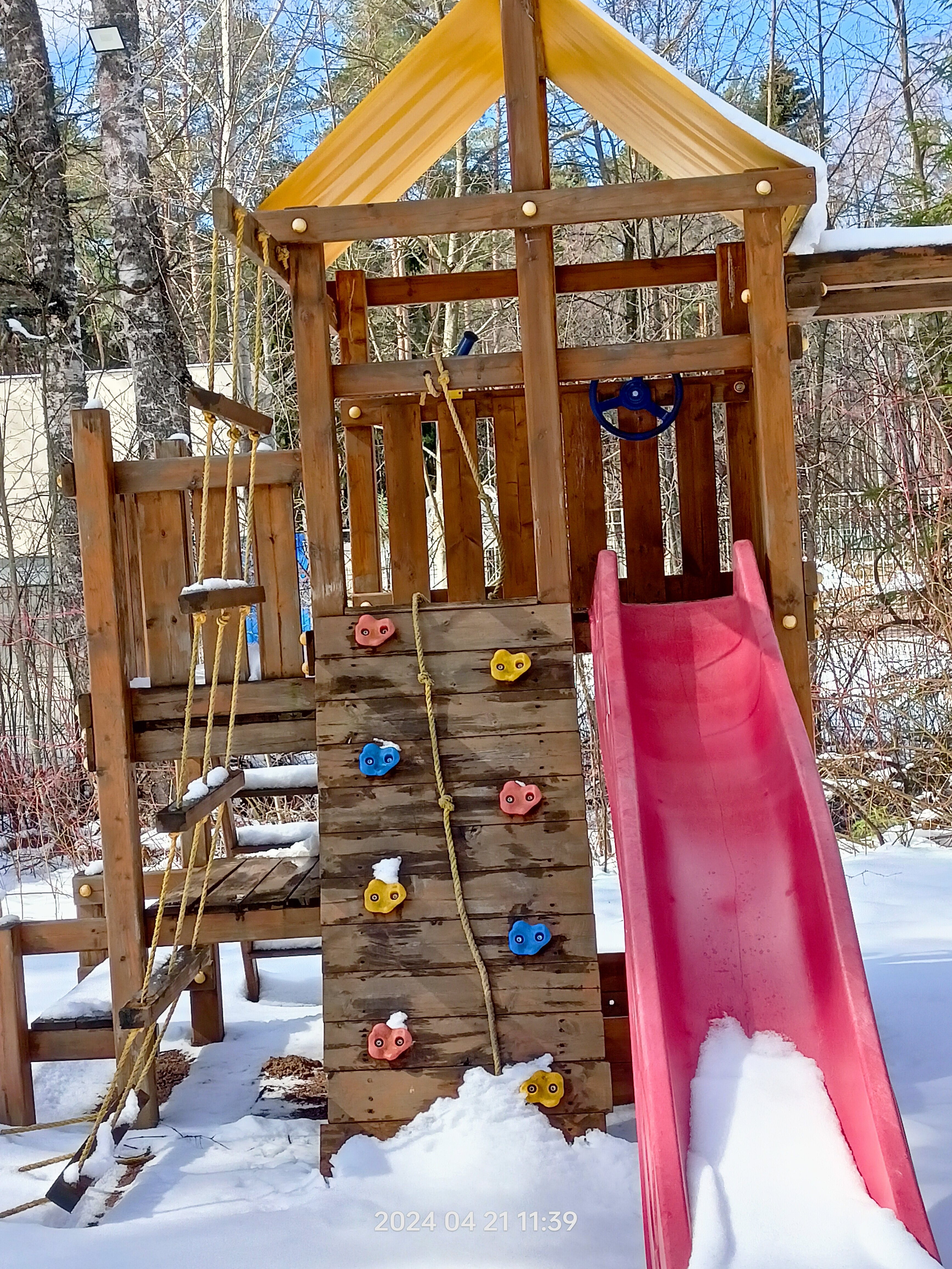 Фото Искатель