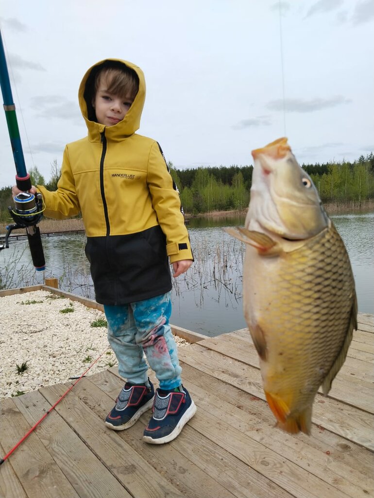 Рыбное хозяйство, рыбоводство Рыбалка, Владимирская область, фото