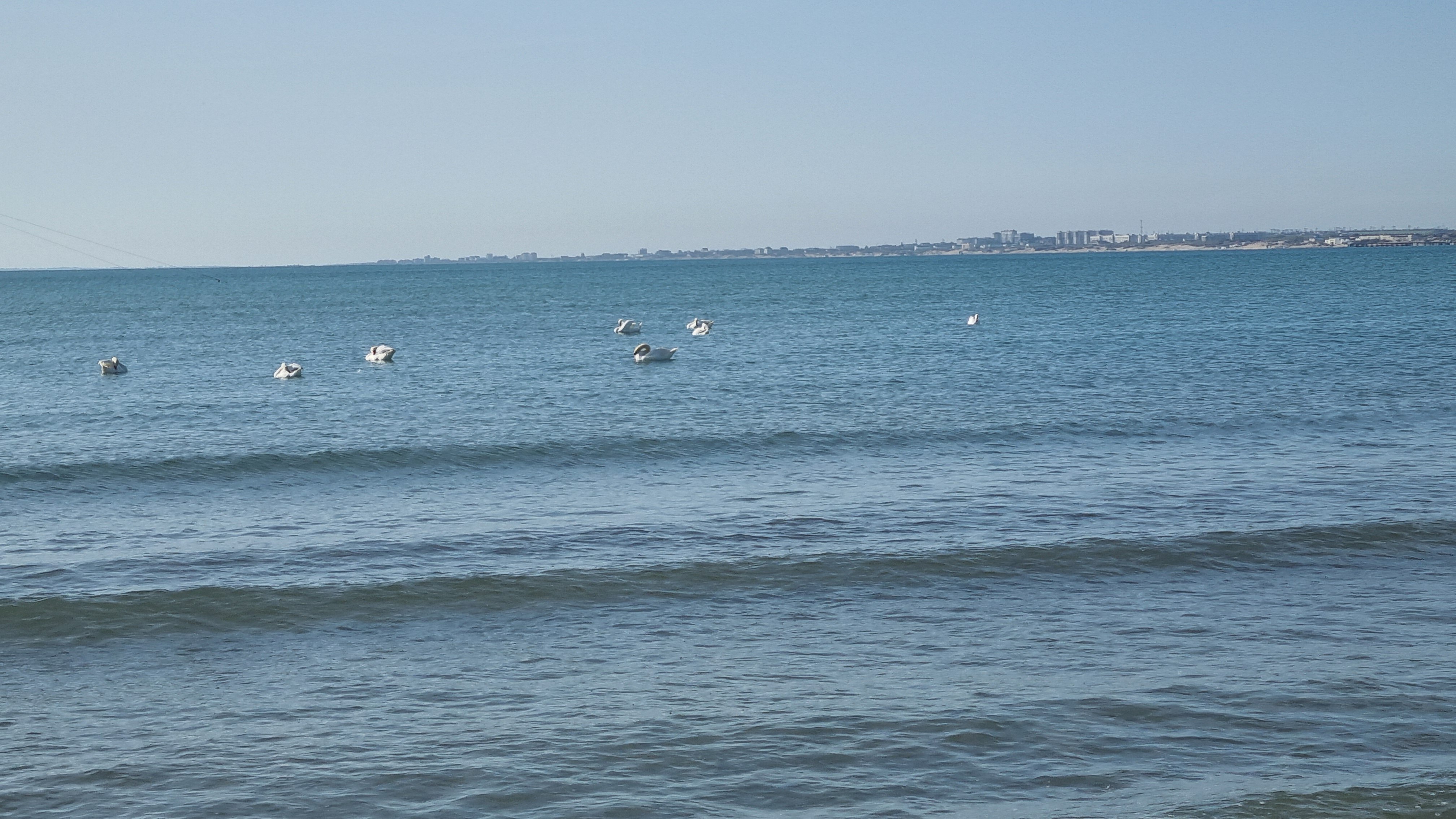 Фото Отель Анапа Лазурная