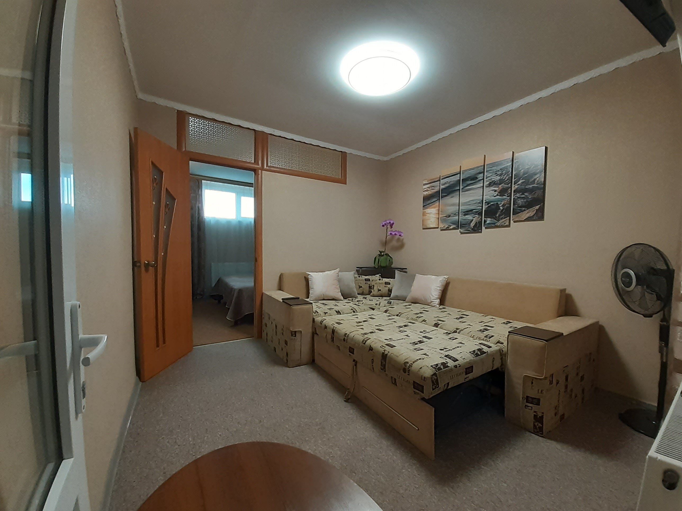 Фото Белая акация