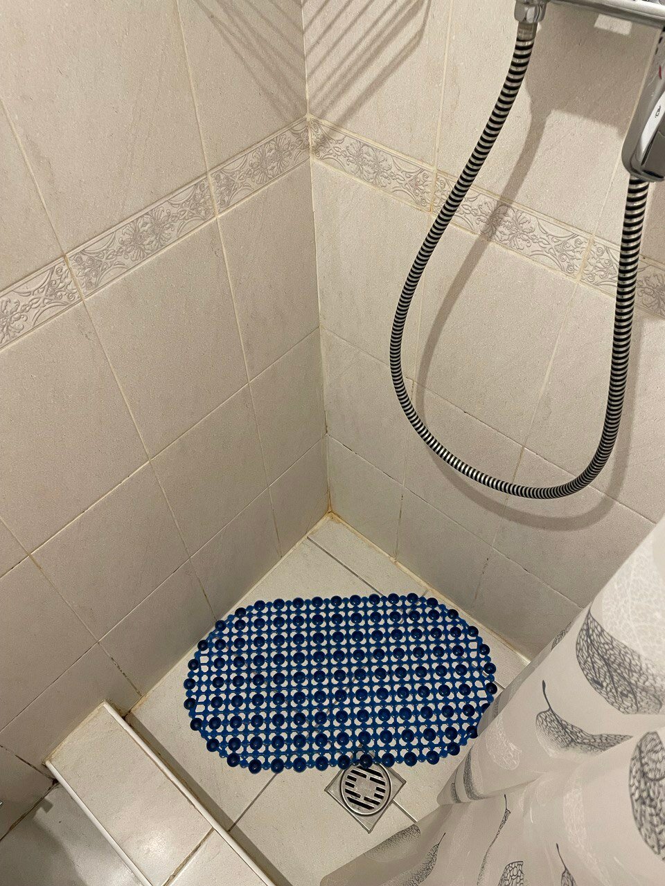 Фото Бегемот