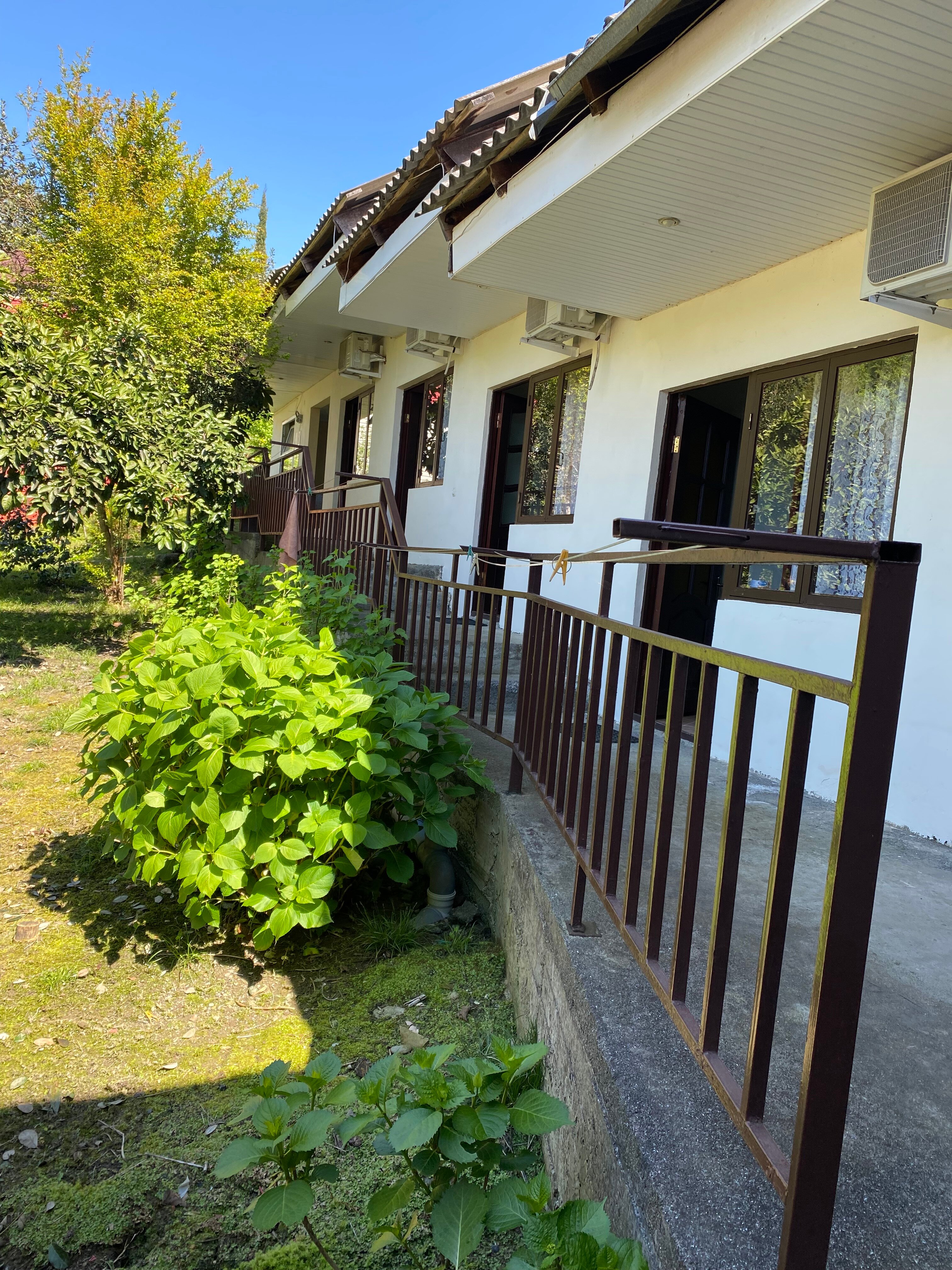 Фото Банановый рай