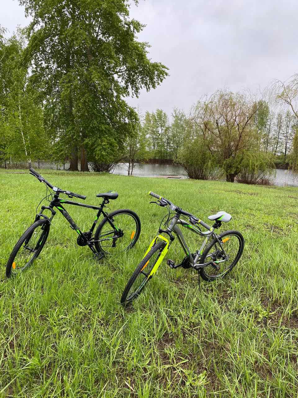 Фото Елховый берег