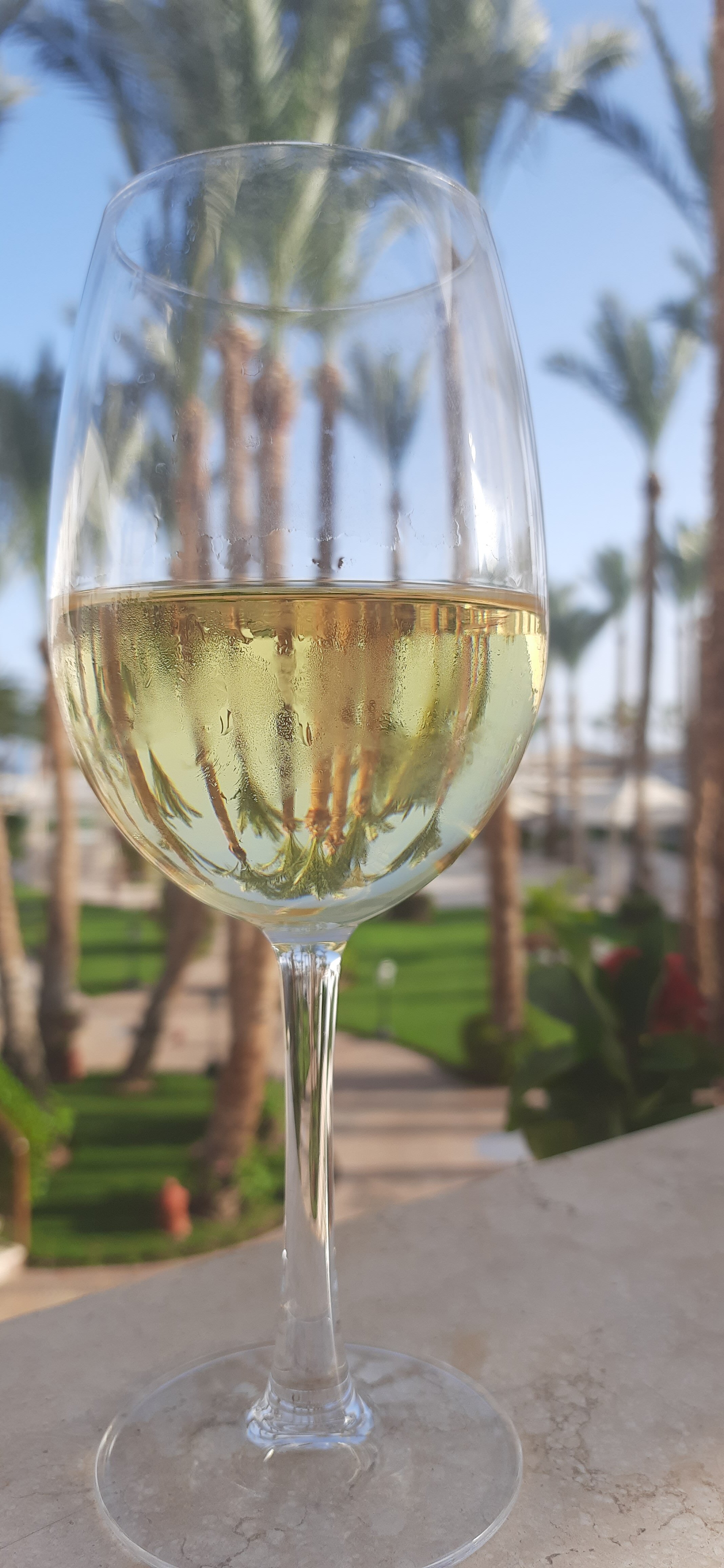 Фото Jaz Fanara Residence