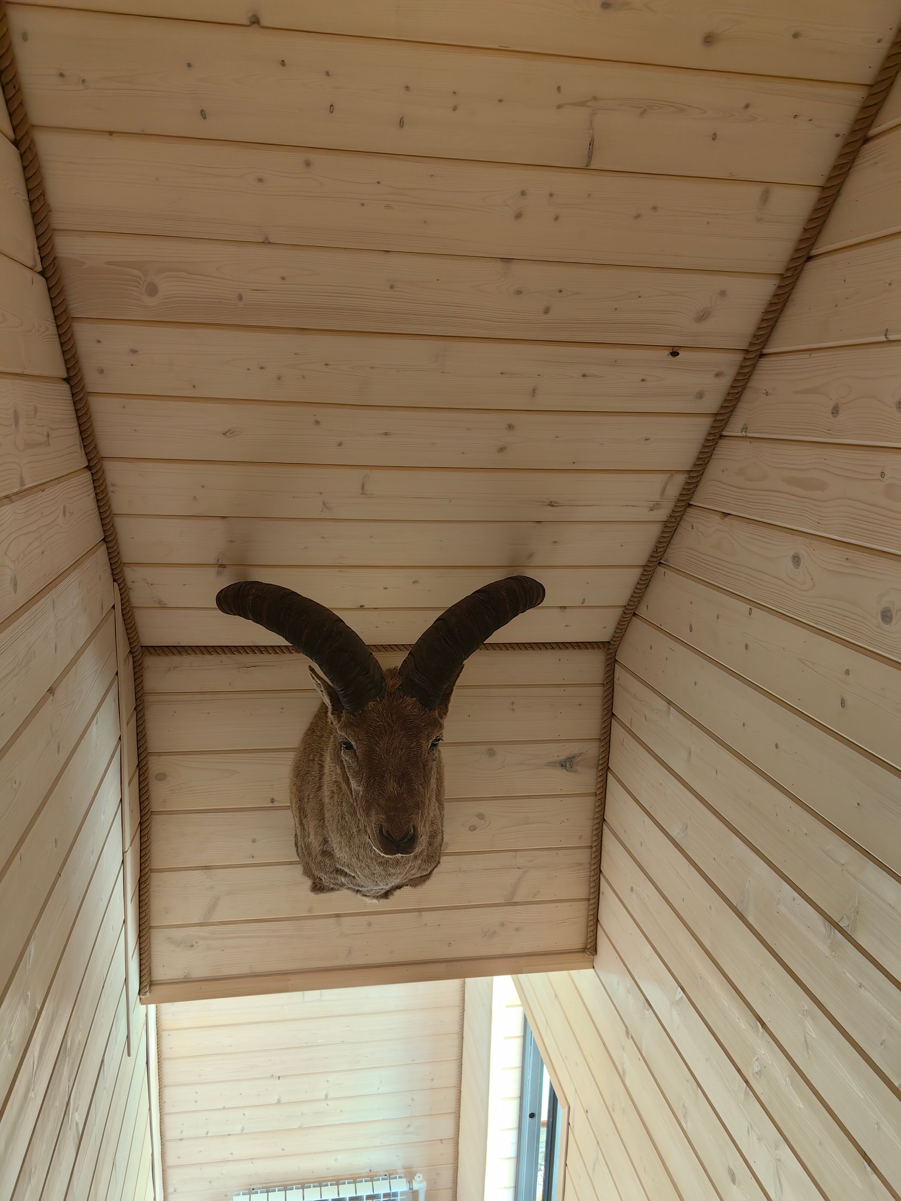 Фото Джемарук