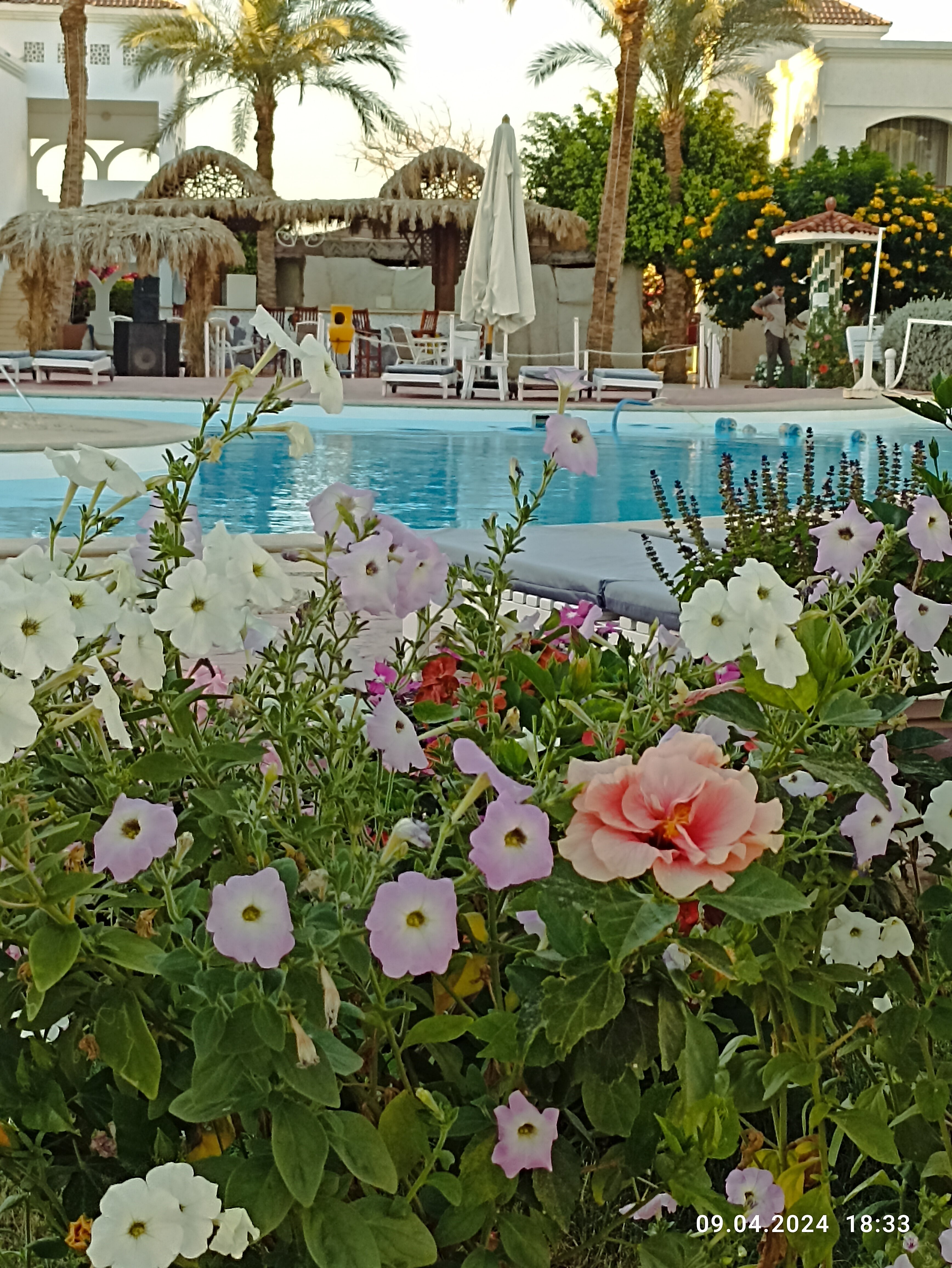 Фото Viva Sharm