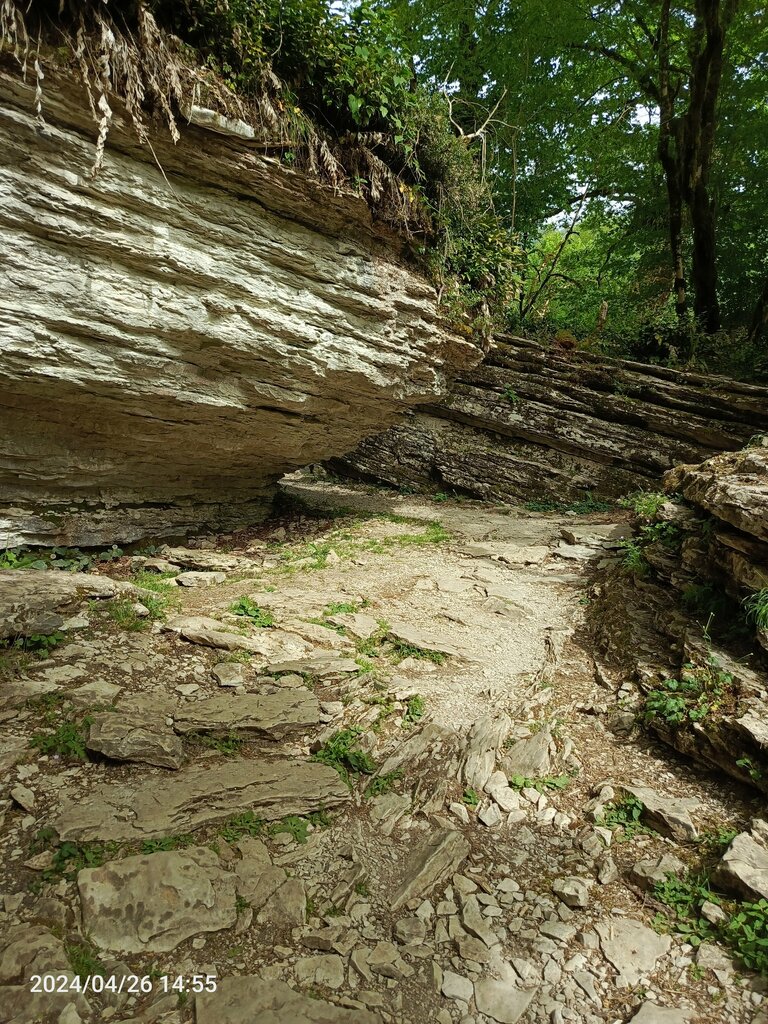 Көрікті жер Лабиринт, Сочи, фото