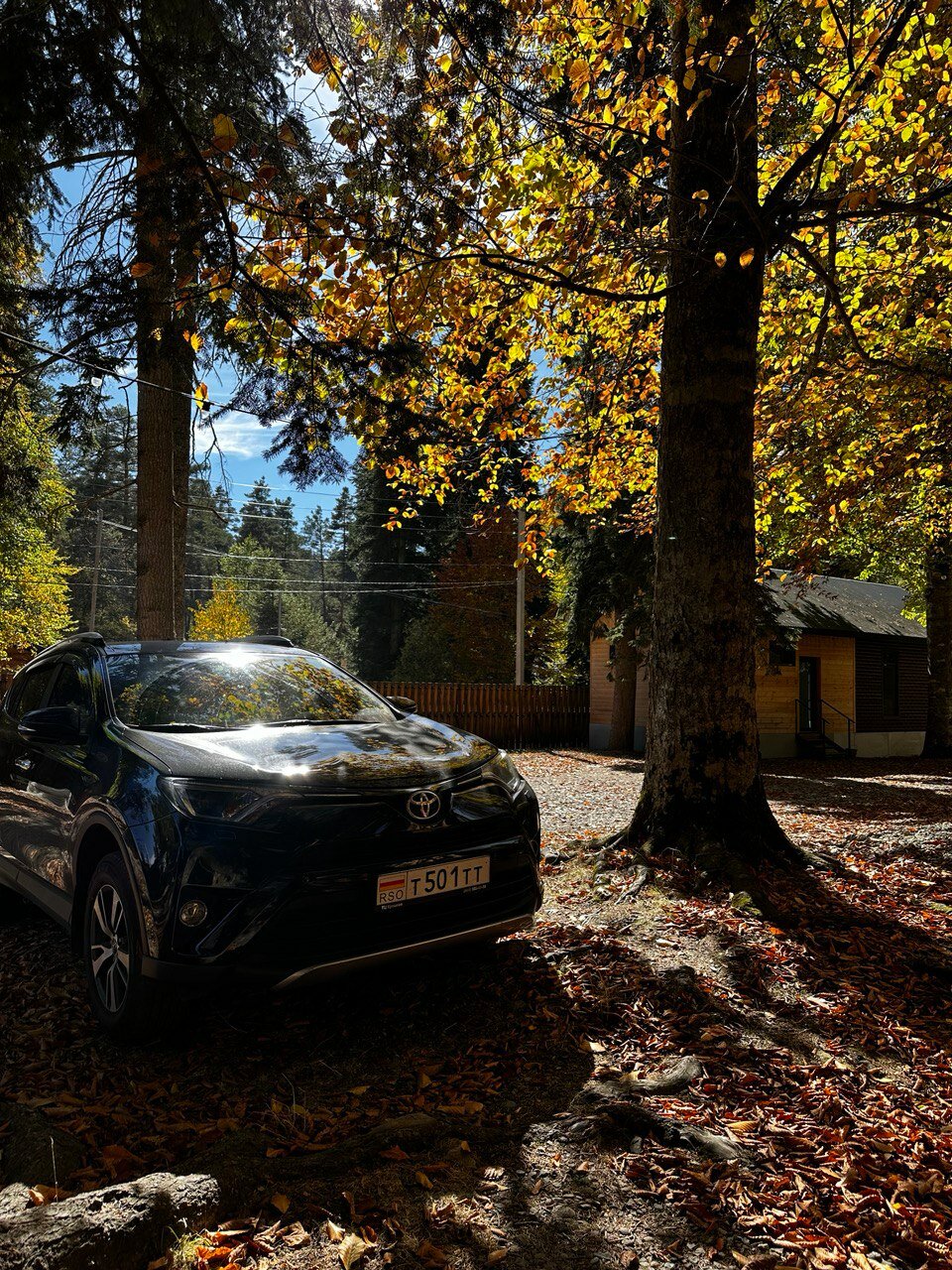 Фото Игилик